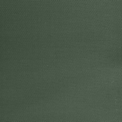 Оксфорд (Oxford) 240D 19-5917, PU/WR, 115 гр/м2, шир.150см, цвет т.зелёный - купить в Чебоксарах. Цена 152.54 руб.