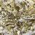 Трикотажное полотно, Сетка с пайетками, шир.130 см, #315, цв.-белый/золото - купить в Чебоксарах. Цена 693.39 руб.