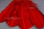 Декоративный Пучок из перьев, перо 23см/красный - купить в Чебоксарах. Цена: 11.16 руб.