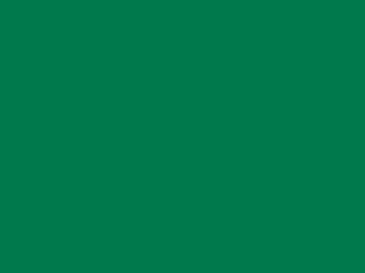 70 см № 258 св. зеленый молнии спираль - купить в Чебоксарах. Цена: 14.58 руб.