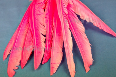Декоративный Пучок из перьев, перо 25см/розовый - купить в Чебоксарах. Цена: 14.40 руб.