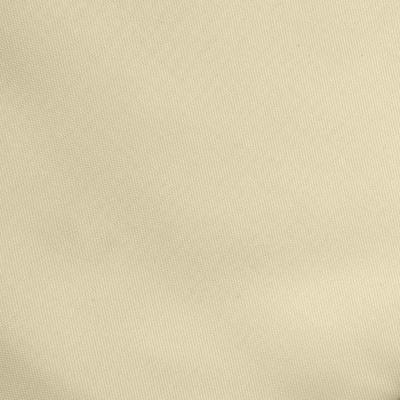 Ткань подкладочная Таффета 14-1014, антист., 53 гр/м2, шир.150см, цвет бежевый - купить в Чебоксарах. Цена 62.37 руб.