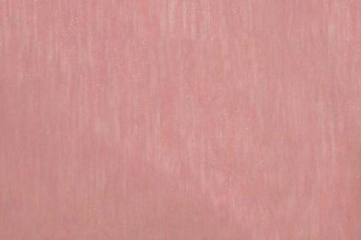 Органза однотонная "Амелия" С19 (Розовый) 280 см - купить в Чебоксарах. Цена 303.09 руб.