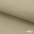 Ткань подкладочная TWILL 230T 14-1108, беж светлый 100% полиэстер,66 г/м2, шир.150 cм - купить в Чебоксарах. Цена 88.74 руб.