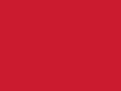 Сетка подкладочная красный, 60г/м2 (10 м/кг) - купить в Чебоксарах. Цена 885.73 руб.