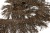 008-коричневый, Бахрома арт.001 шир.10см (упак.12+/-0,5м) - купить в Чебоксарах. Цена: 1 017.33 руб.