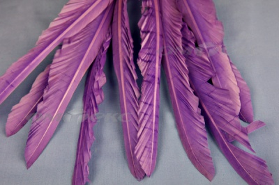 Декоративный Пучок из перьев, перо 25см/фиолетовый - купить в Чебоксарах. Цена: 12.19 руб.