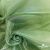 Ткань органза, 100% полиэстр, 28г/м2, шир. 150 см, цв. #27 зеленый - купить в Чебоксарах. Цена 86.24 руб.