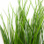 Трава искусственная -4, шт  (осока 50 см/8 см  7 листов)				 - купить в Чебоксарах. Цена: 130.73 руб.