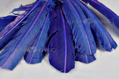 Декоративный Пучок из перьев, перо 23см/синий - купить в Чебоксарах. Цена: 12.34 руб.